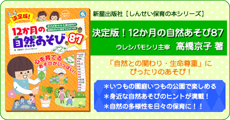 決定版！　１２か月の自然あそび８７-高橋京子著-